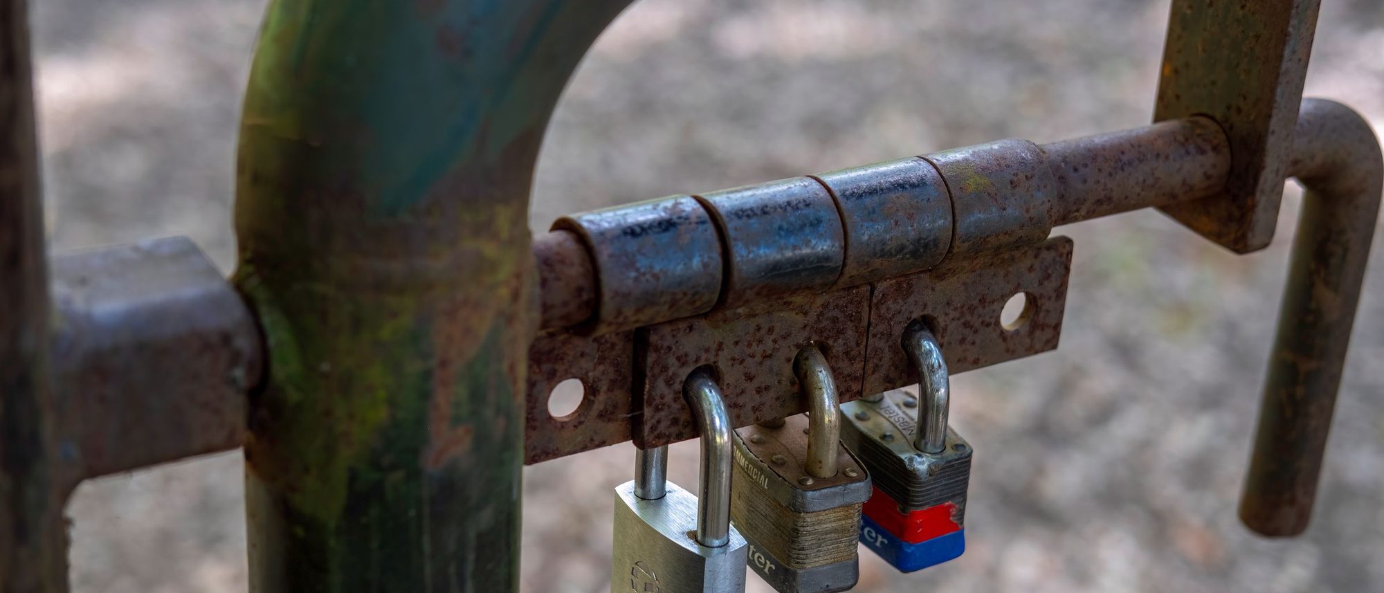 A rusty metal gate secured with three padlocks.