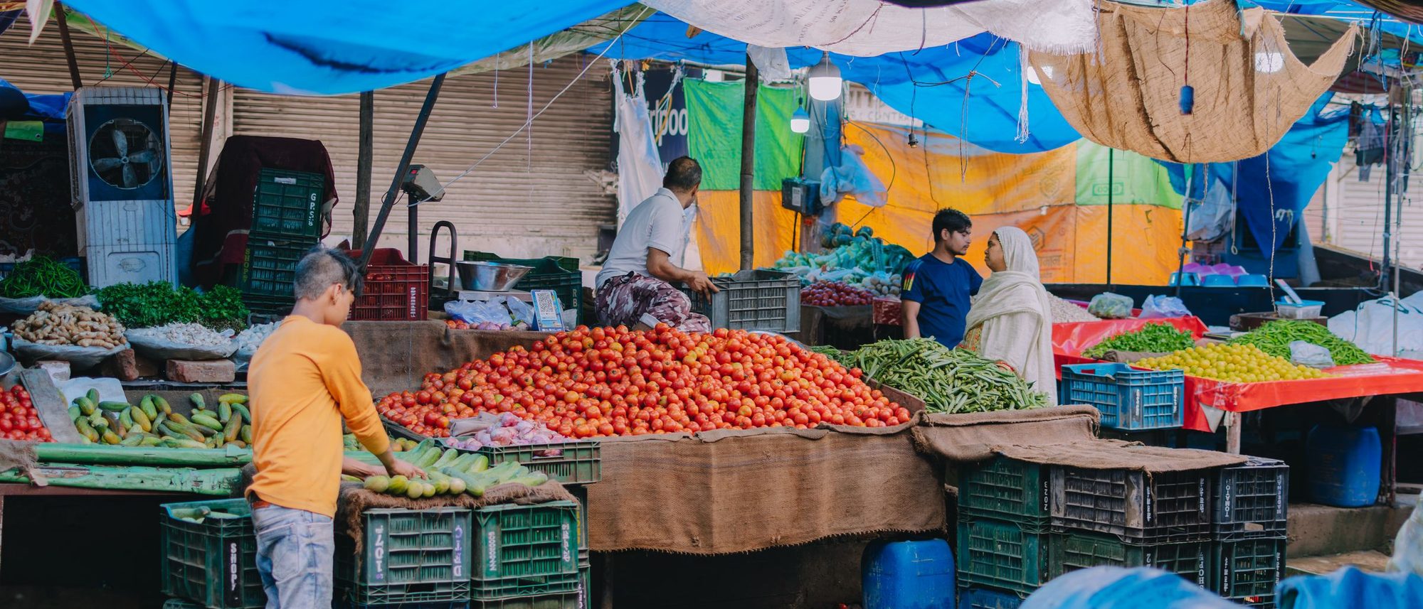 Stalls of tomatoes, beans and greens sit side by side under blue tarpaulins in an Indian market.