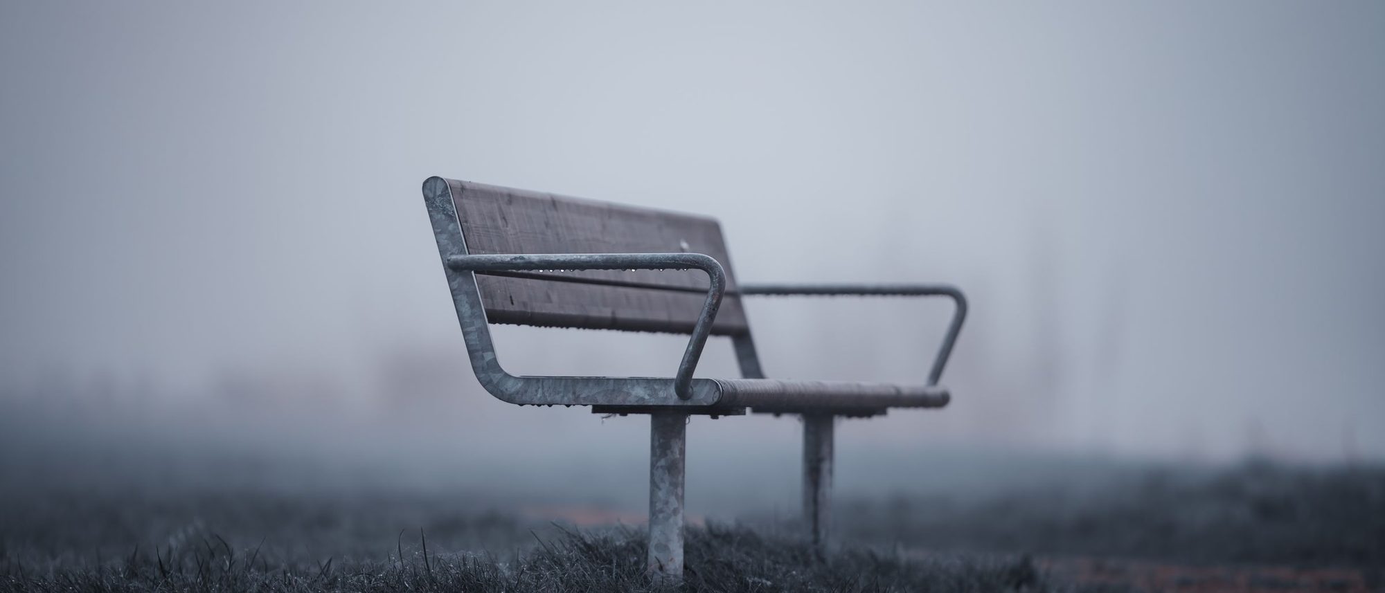 A single empty park bench stands in thick mist with bare trees fading behind it.