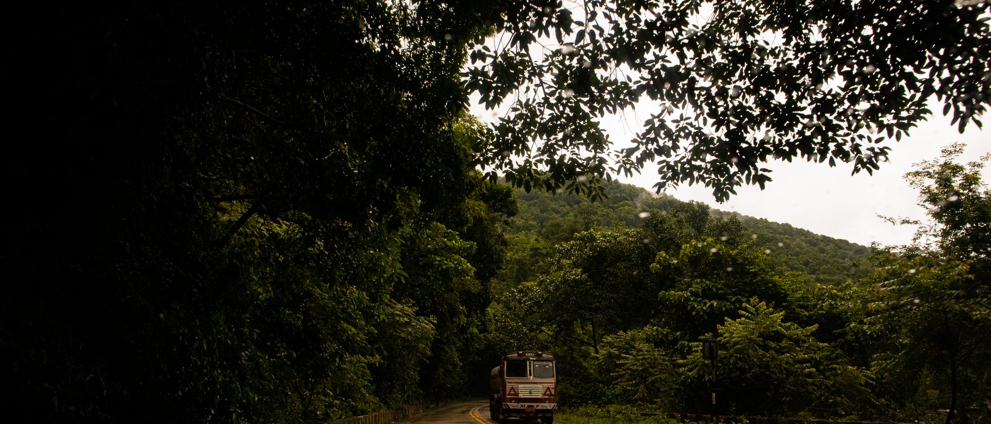 A lone truck on a wet road winding through dense green forest in the Western Ghats.