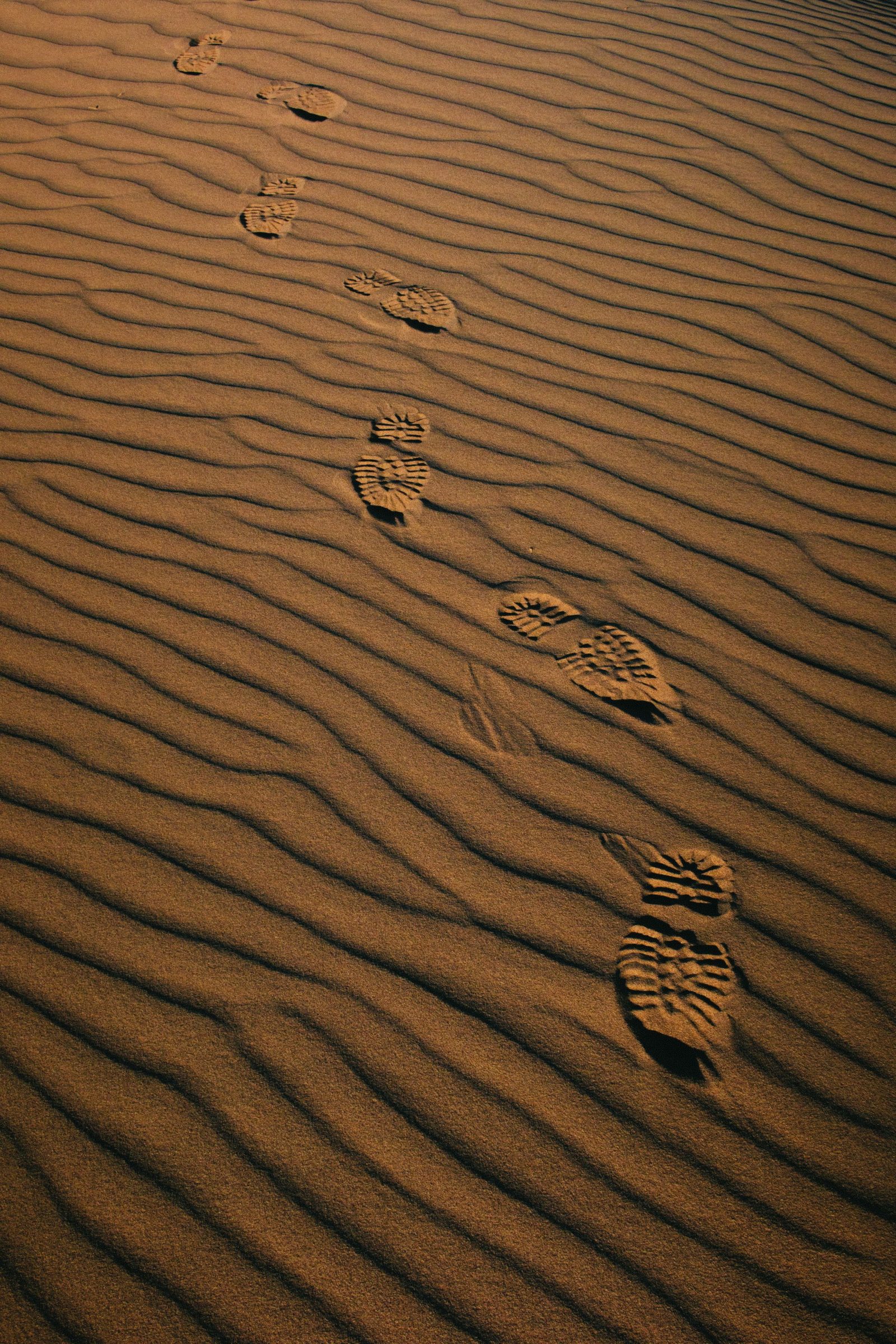 A line of footprints crossing rippled sand dunes in a desert.