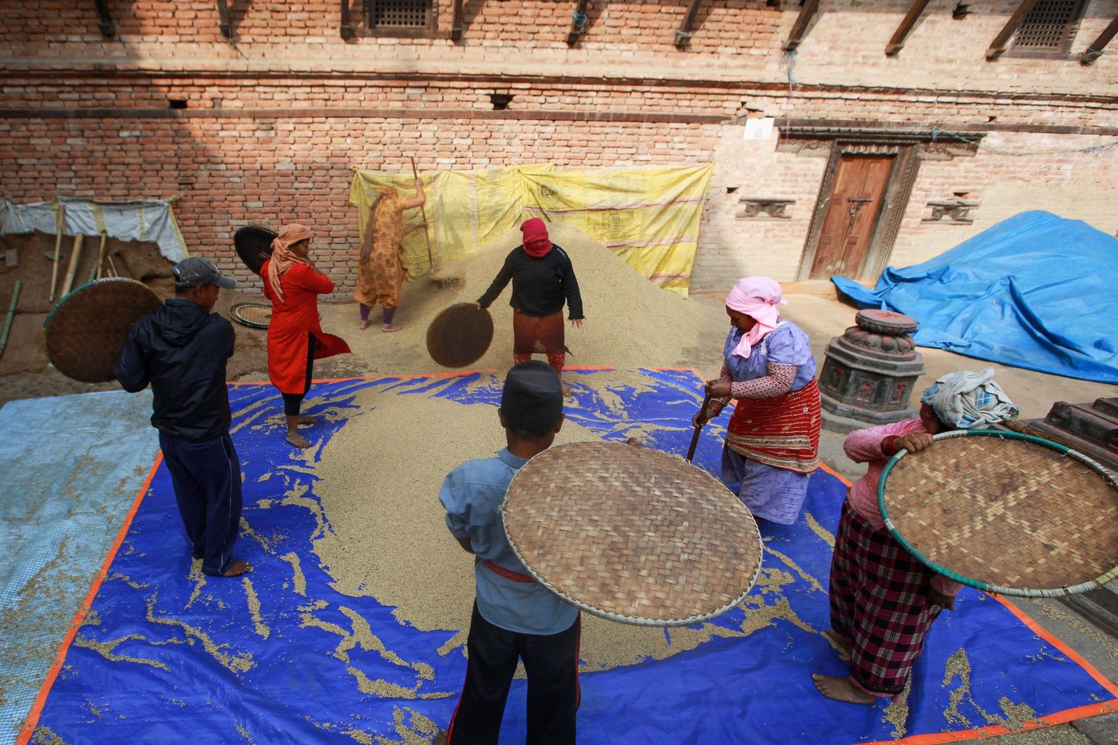 A group of people winnowing rice with woven baskets on a mat spread with grain in bright sun.
