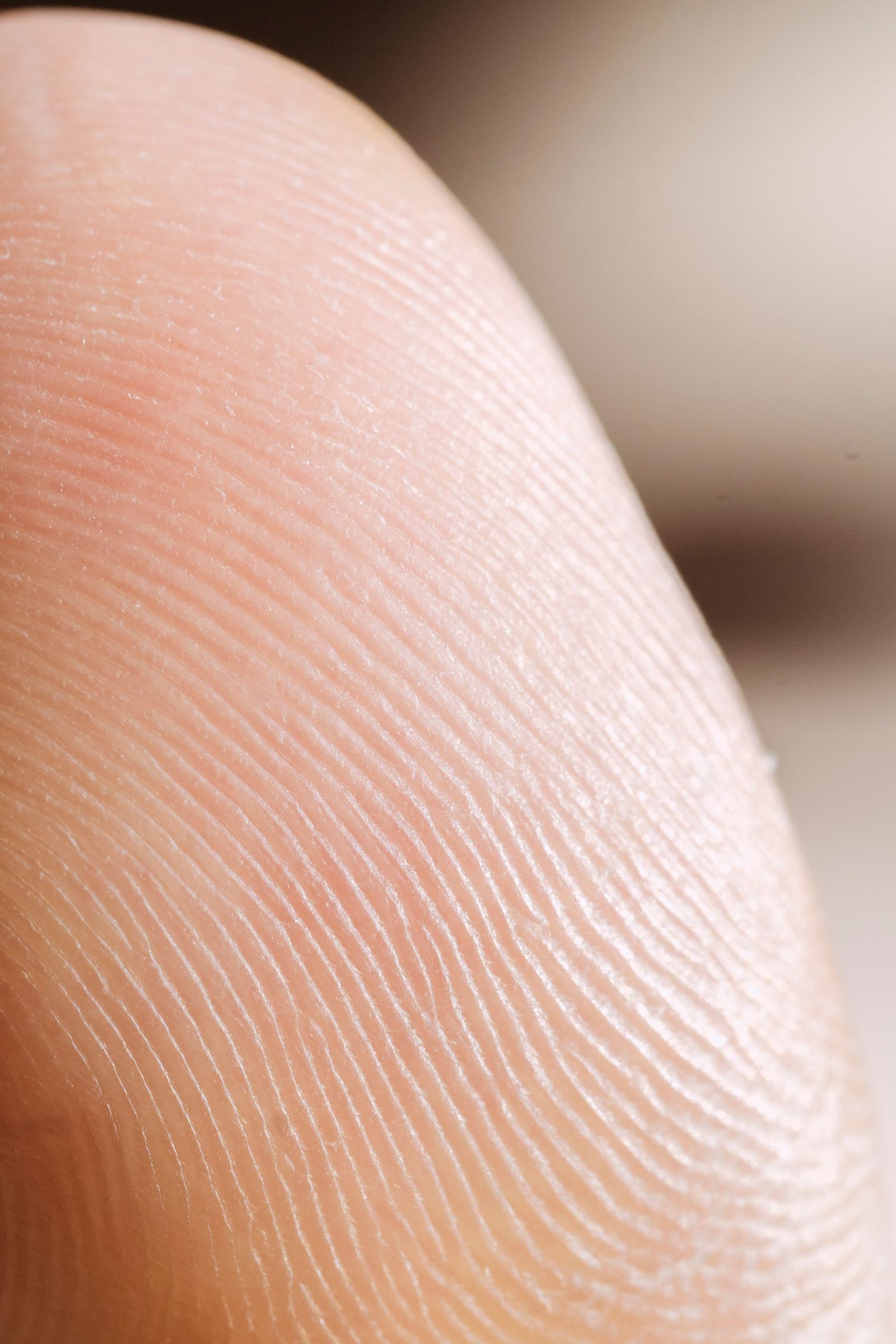 A close view of a fingertip showing the ridges of its print.