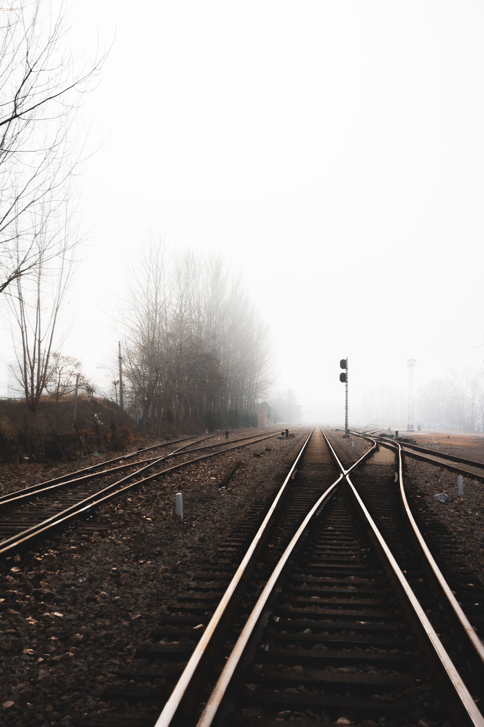 Two railway tracks diverge into fog across flat rural land.