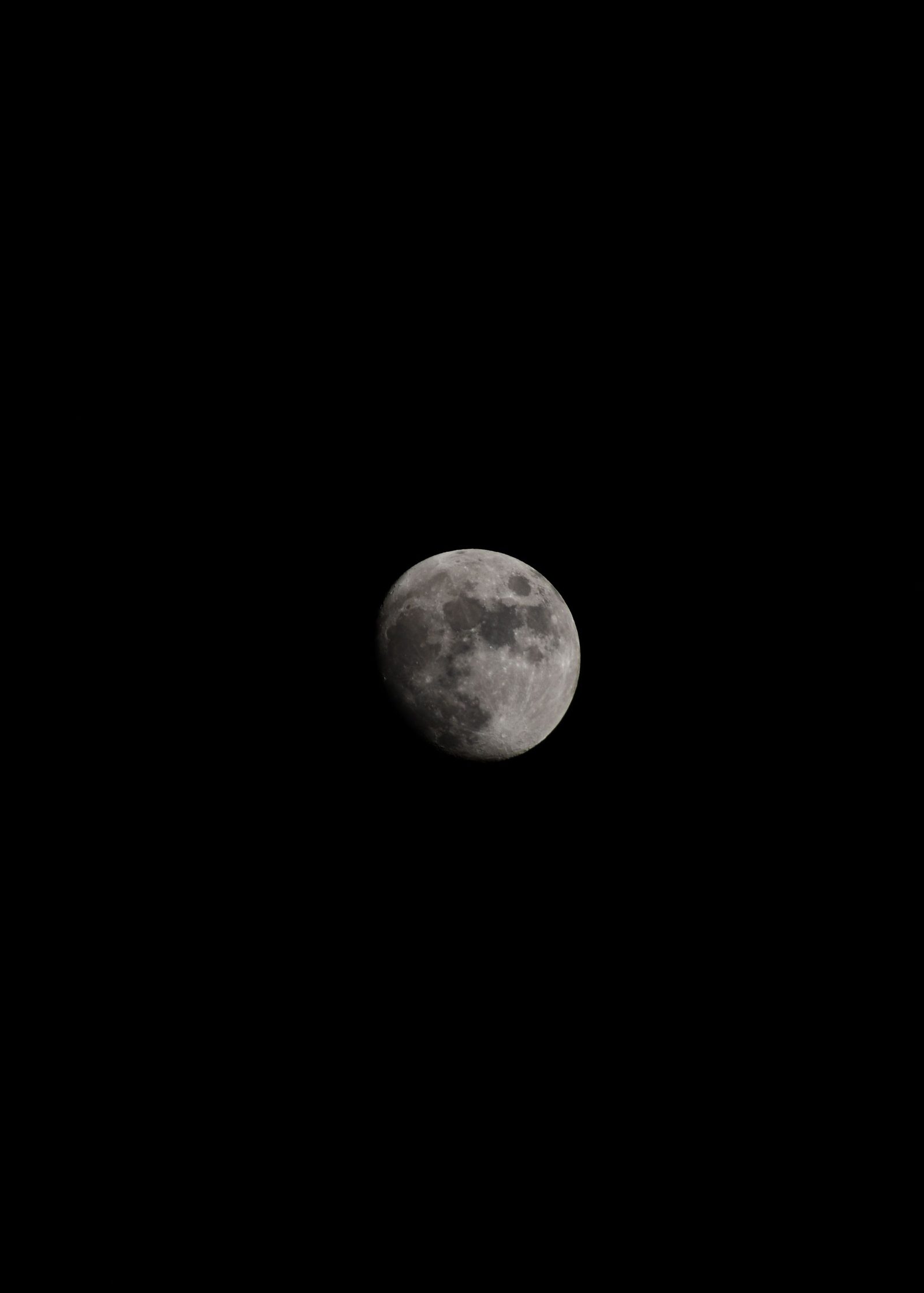 A half moon with its craters lit against a black sky.