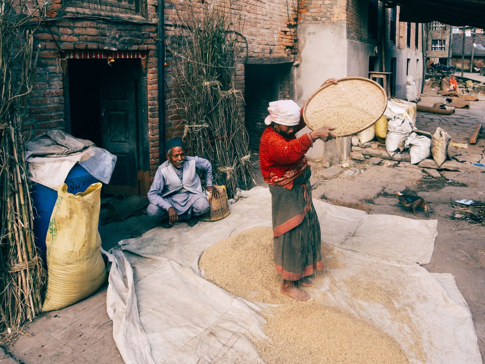 A woman winnows grain with a flat basket outdoors in a village.