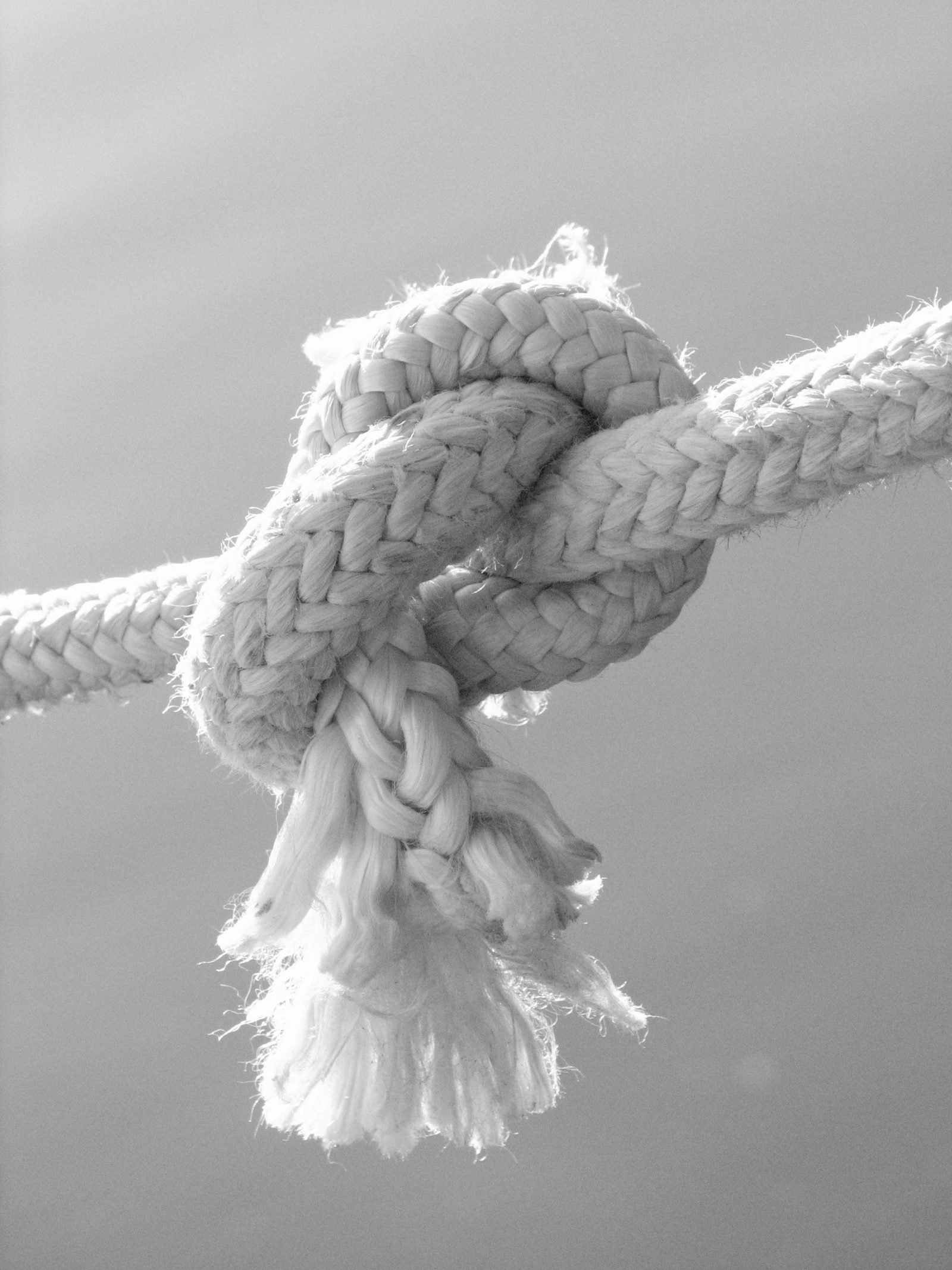 A close-up of a rope tied in a knot, in black and white.