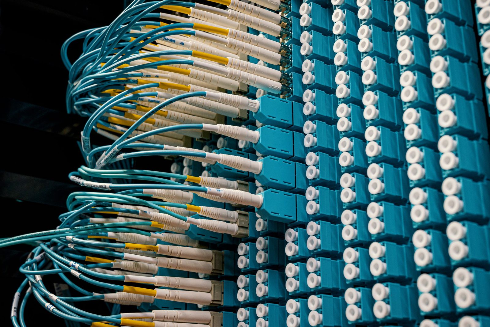Fibre optic patch cables plugged into a blue patch panel in a data centre.