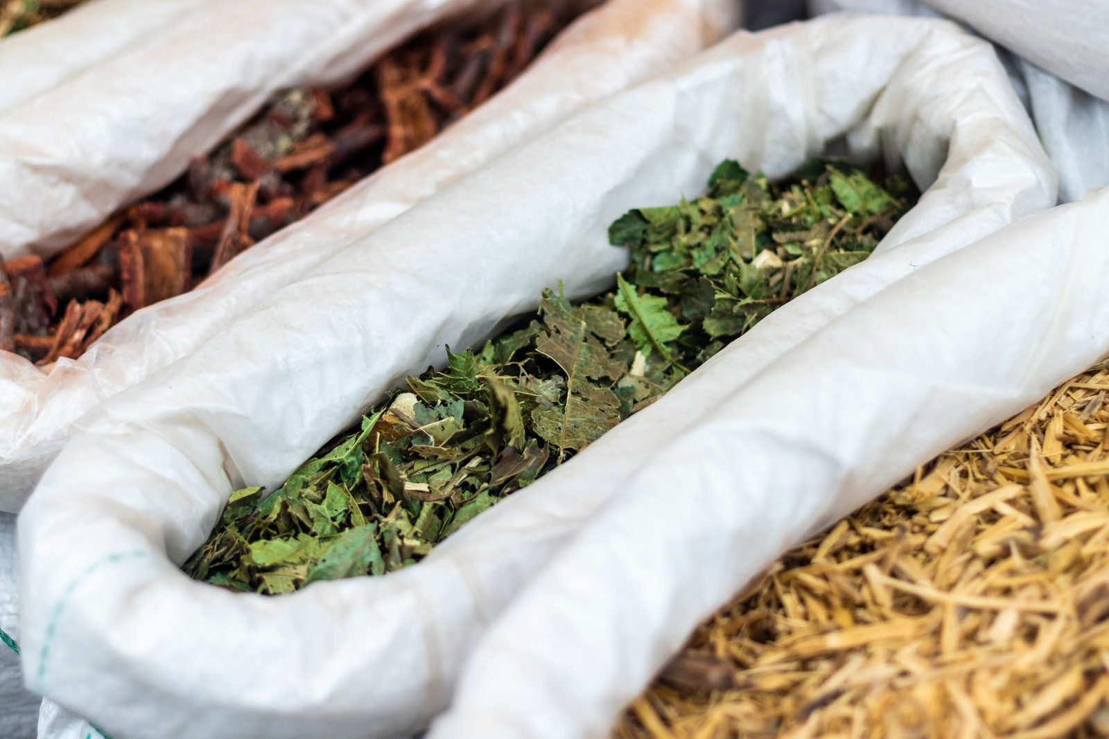 Open sacks of dried green leaves, bark and roots at a herb market