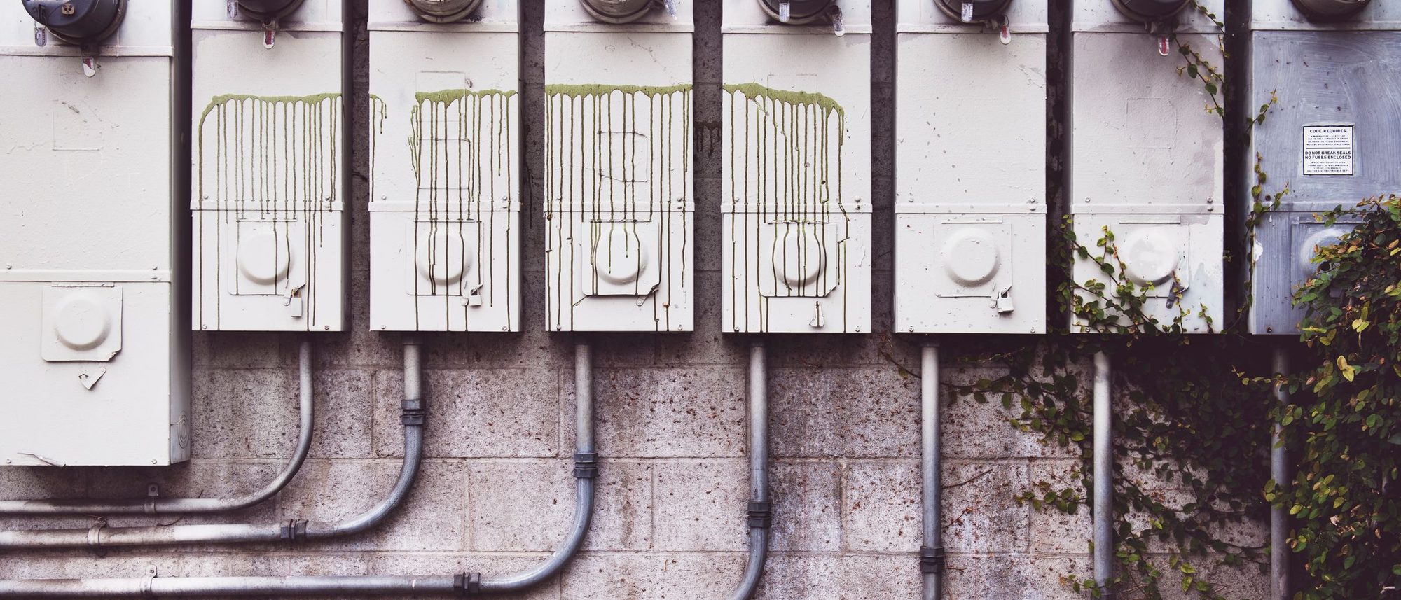A row of outdoor electricity meters on a brick wall with vines growing around them.