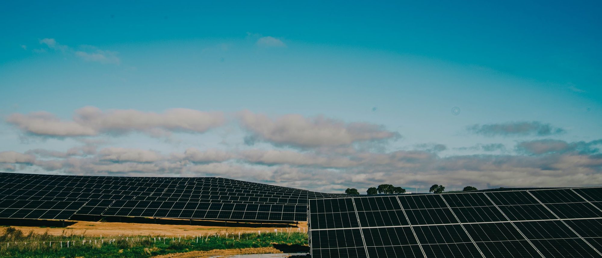 Rows of solar panels stretching across a desert under a clear blue sky.