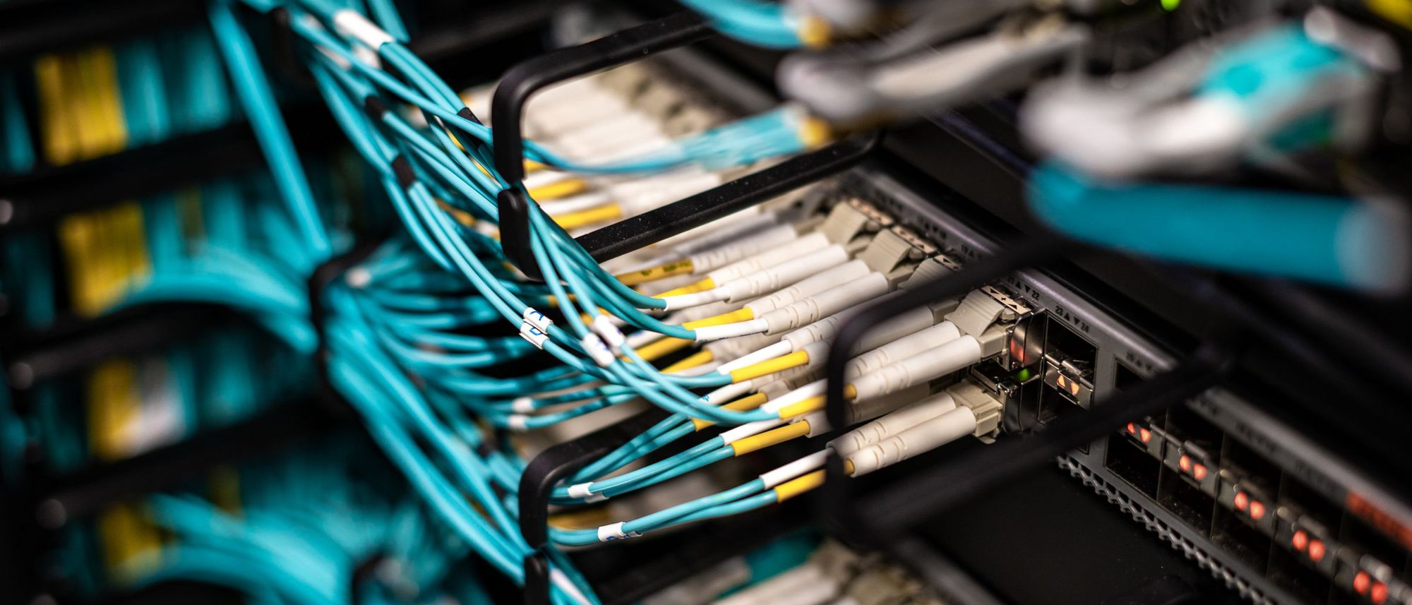 Rows of network cables plugged neatly into patch panels in a server rack.