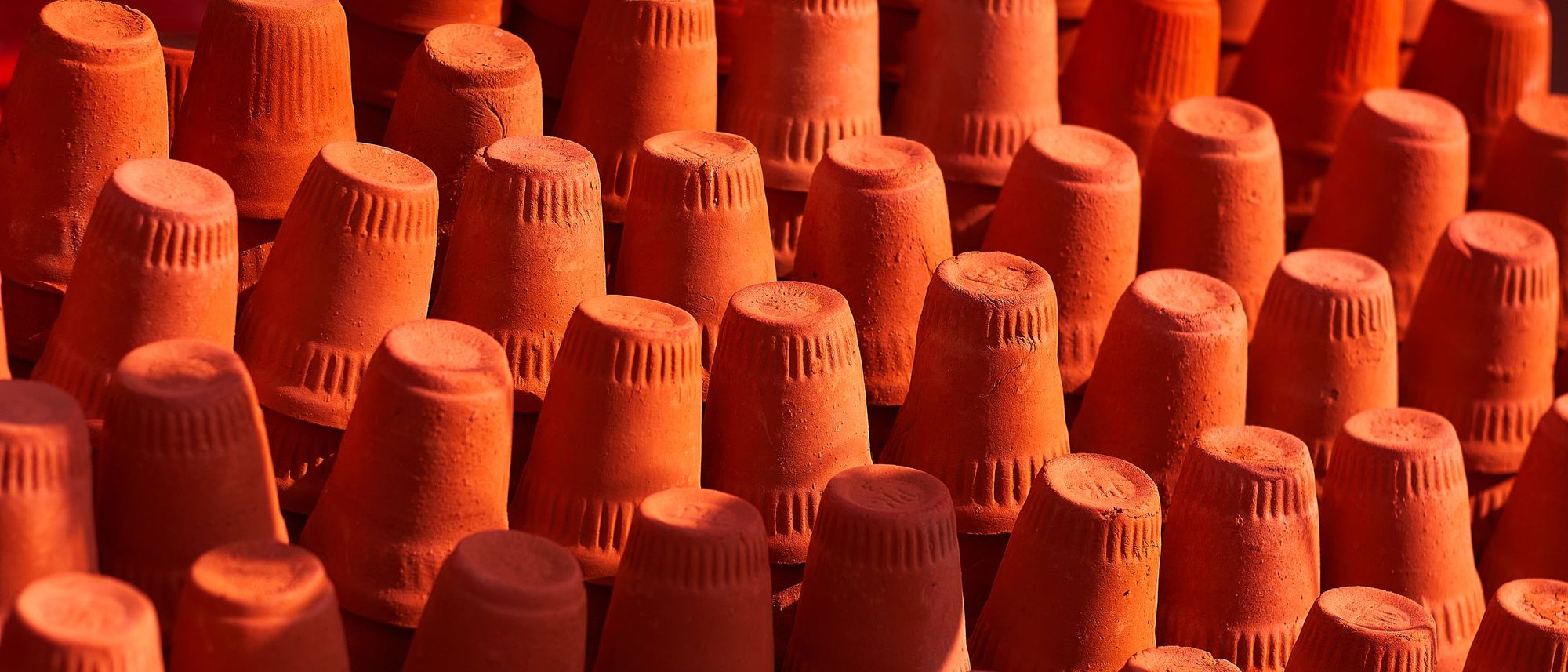 Rows of orange terracotta pots arranged closely on the ground.