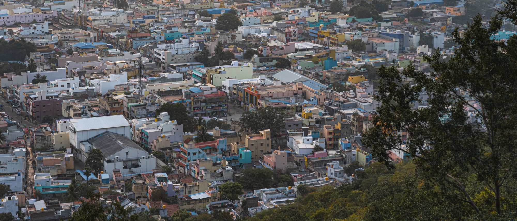 A wide view from a hill over the low rooftops of Tiruvannamalai in Tamil Nadu ringed by green fields.