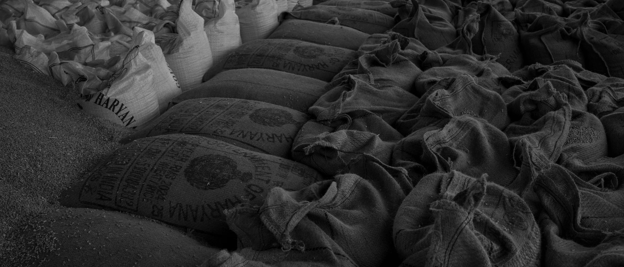Stacked sacks of grain filling a storeroom, in black and white.