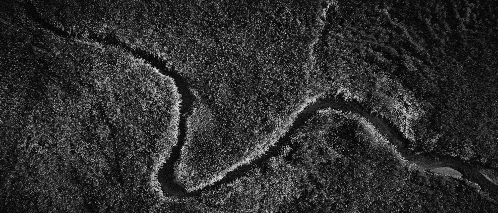 An aerial black and white view of a river winding in tight meanders through grassland.