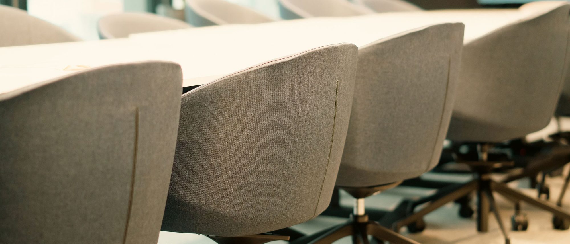 A row of empty office chairs in soft daylight.